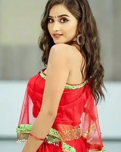 Escort In Viratnagar